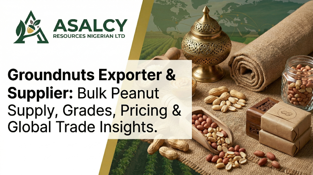 Groundnuts Exporter & Supplier: Bulk Peanut Supply, Grades, Pricing & Global Trade Insights